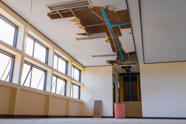 Best Basement water damage restoration  in Albion, PA