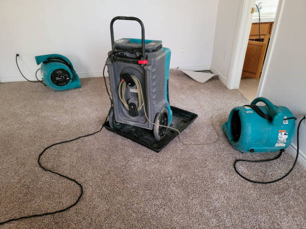Best Carpet water damage restoration  in Albion, PA