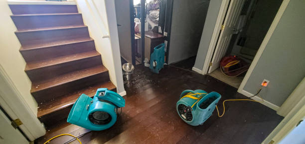 Best Residential water damage restoration  in Albion, PA