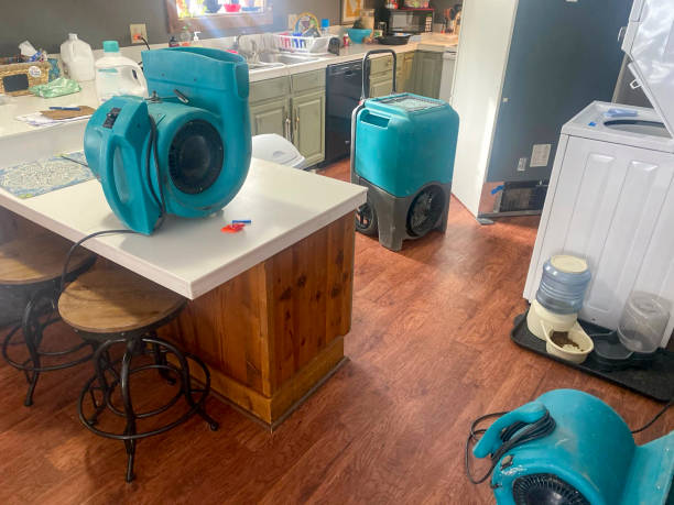 Best 24/7 water damage repair  in Albion, PA