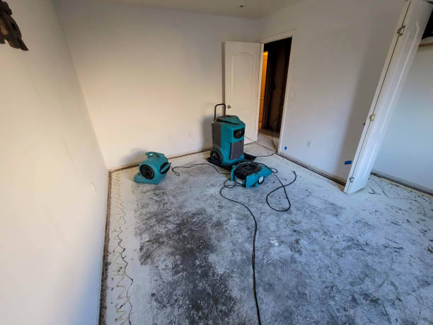 Best Flood restoration services  in Albion, PA