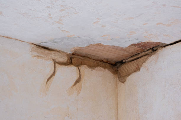 Best Water damage contractors near me  in Albion, PA