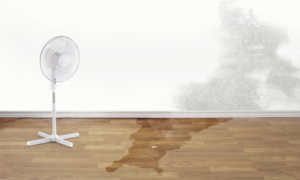 Best Commercial water damage restoration  in Albion, PA