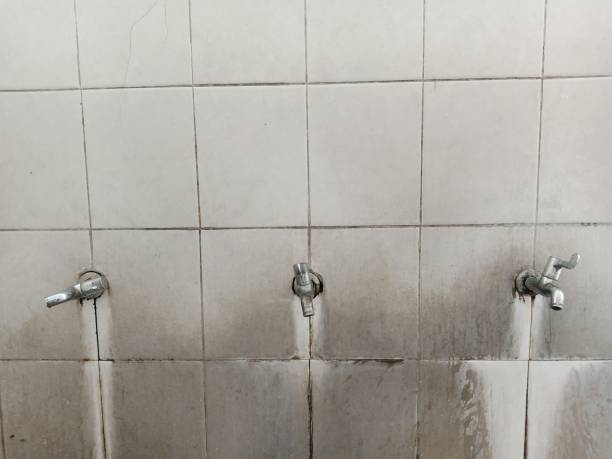 Best Sewage cleanup and water damage restoration  in Albion, PA