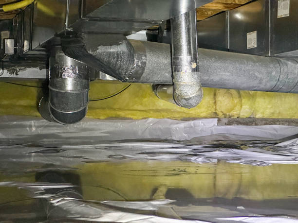 Best Water damage restoration process  in Albion, PA