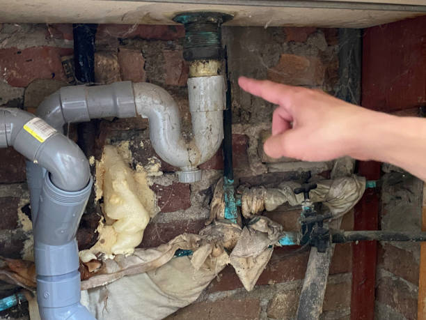 Best 24-hour water damage restoration  in Albion, PA