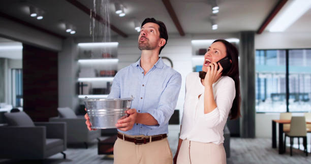 Best Mold removal after water damage  in Albion, PA