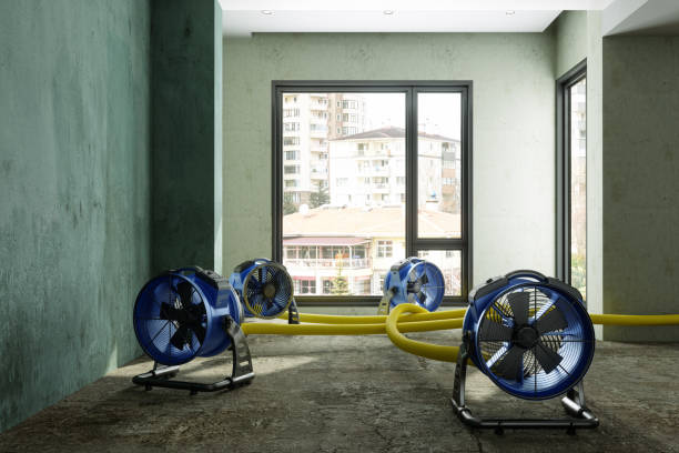 Best Emergency water damage restoration  in Albion, PA