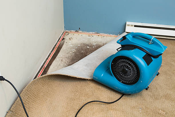Best Fire Damage Restoration  in Albion, PA